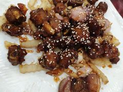 -姚林轩