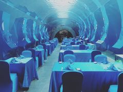 -海棠湾洲际-涛·海底餐厅·美人鱼·自助餐·海底隧道