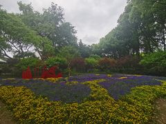 -上海醉白池公园