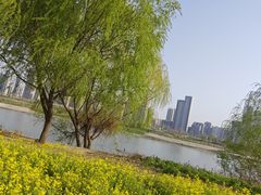 -汉江湾体育公园