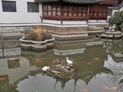 -豫园湖心亭茶楼