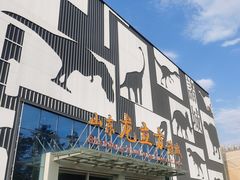 -诸城市恐龙博物馆