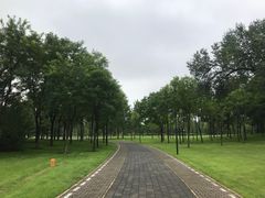 -北坞公园