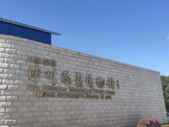 -嘉荫恐龙国家地质公园