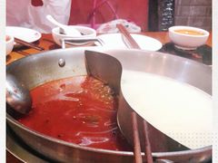 -重庆小天鹅(英雄山路店)