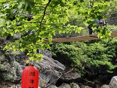 -石台牯牛降景区