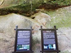 -川西竹海景区