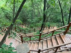 -大岭沟猕猴桃谷风景区