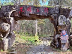 -五营红松林海景区