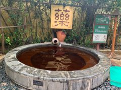 -仁爱团泊湖温泉中心