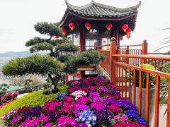 -枇杷园食为鲜火锅(南山店)