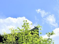 -香积寺