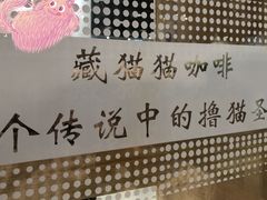 -藏猫猫咖啡主题馆(中央大道店)