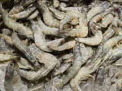 -星海汇海鲜烤肉火锅自助(二七广场百年德化店)