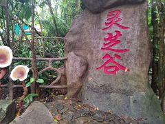 -呀诺达热带雨林