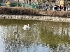 -长白岛森林公园