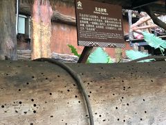 -海南槟榔谷黎苗文化旅游区