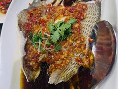 -羲和雅苑•北京烤鸭(平安国际金融中心店)