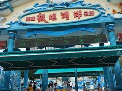 -海合安成都极地海洋公园