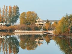-白洋淀景区
