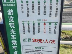 -合肥滨湖国家森林公园