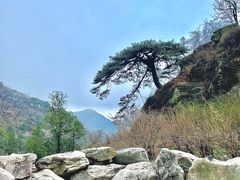 -泰山风景名胜区