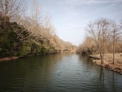 -溱湖国家湿地公园