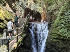 -牛背梁国家森林公园