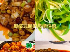 -峨嵋酒家 南北川菜 优选烤鸭(广渠路店)