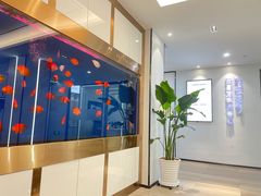 -牙博士口腔品牌连锁(杨浦店)