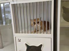 -沐沐家宠物(成寿寺店)