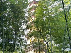 -阿育王寺