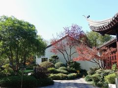 -杭州西子湖四季酒店·金沙厅