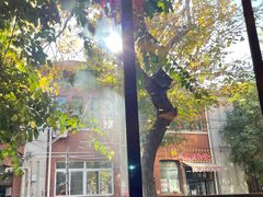 -粤秀小厨·广式早茶(辽宁路店)