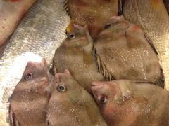 iphone_upload_pic-合家小菜餐馆(新诚花苑店)