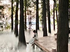 -东湖落雁景区
