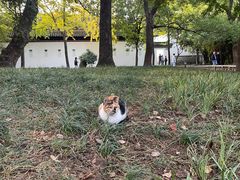 -西园戒幢律寺