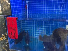 -鑫鸿达·海鲜闽菜热炒小馆(中山路店)