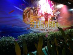 -广州长隆国际大马戏