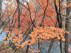 -关门山森林公园