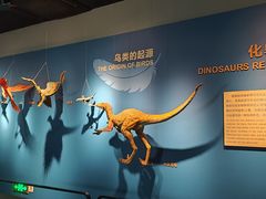 -自贡恐龙博物馆