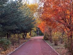 -长春市南湖公园