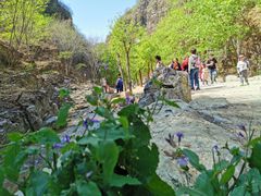 -十渡东湖港风景区