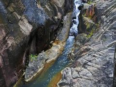 -广州白江湖森林公园