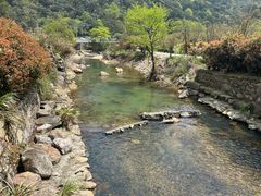 -北仑森林植物园