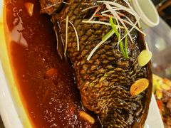 -津菜宋记老房子(鼓楼店)