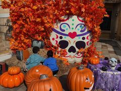 -大连海昌发现王国主题公园