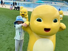 -秦皇岛乐岛海洋王国