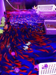 -多奇妙儿童乐园(昆山吾悦店)