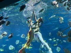 -海合安武汉极地海洋公园